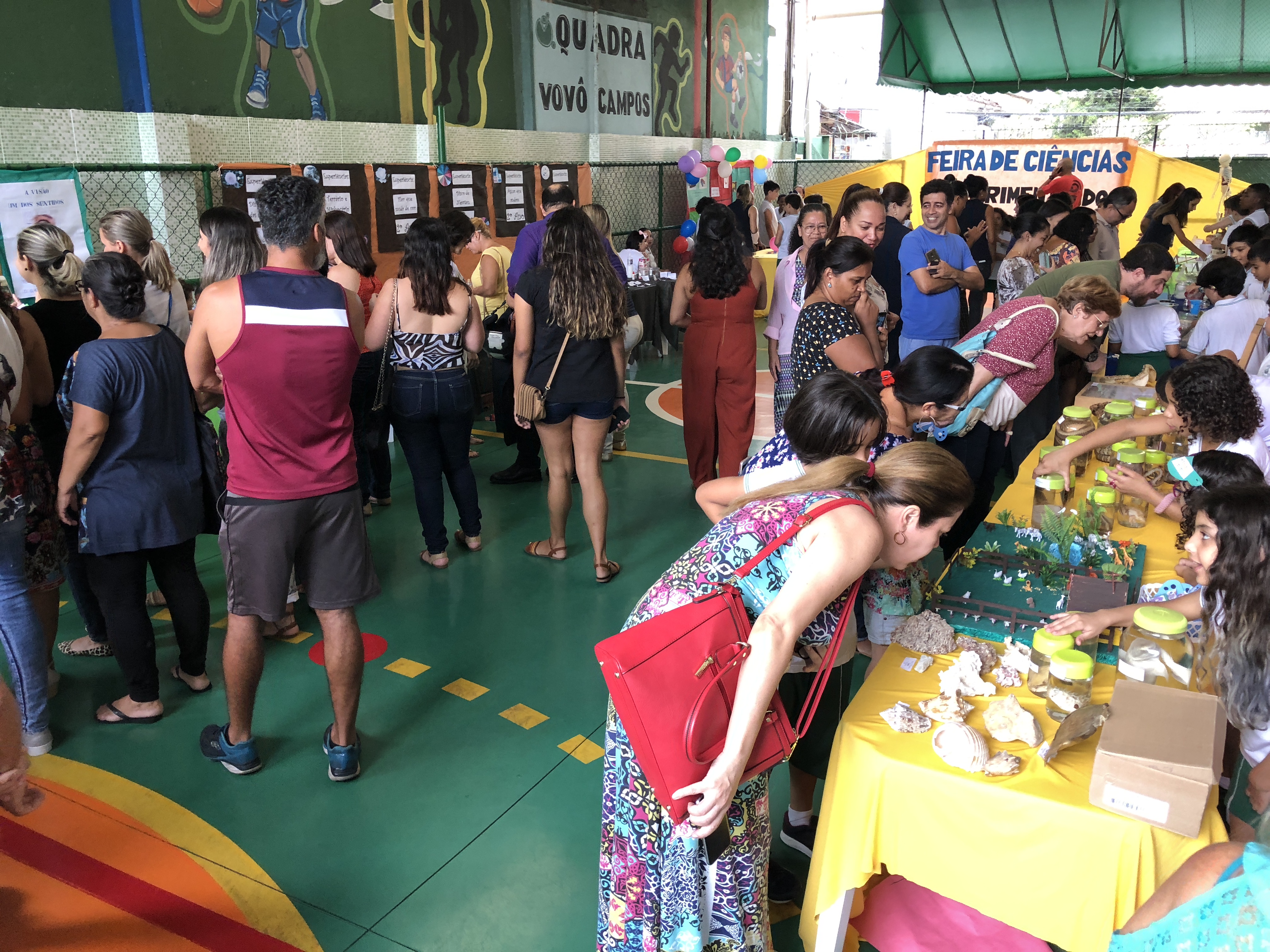 Imagem do Projeto de Feira de Ciências