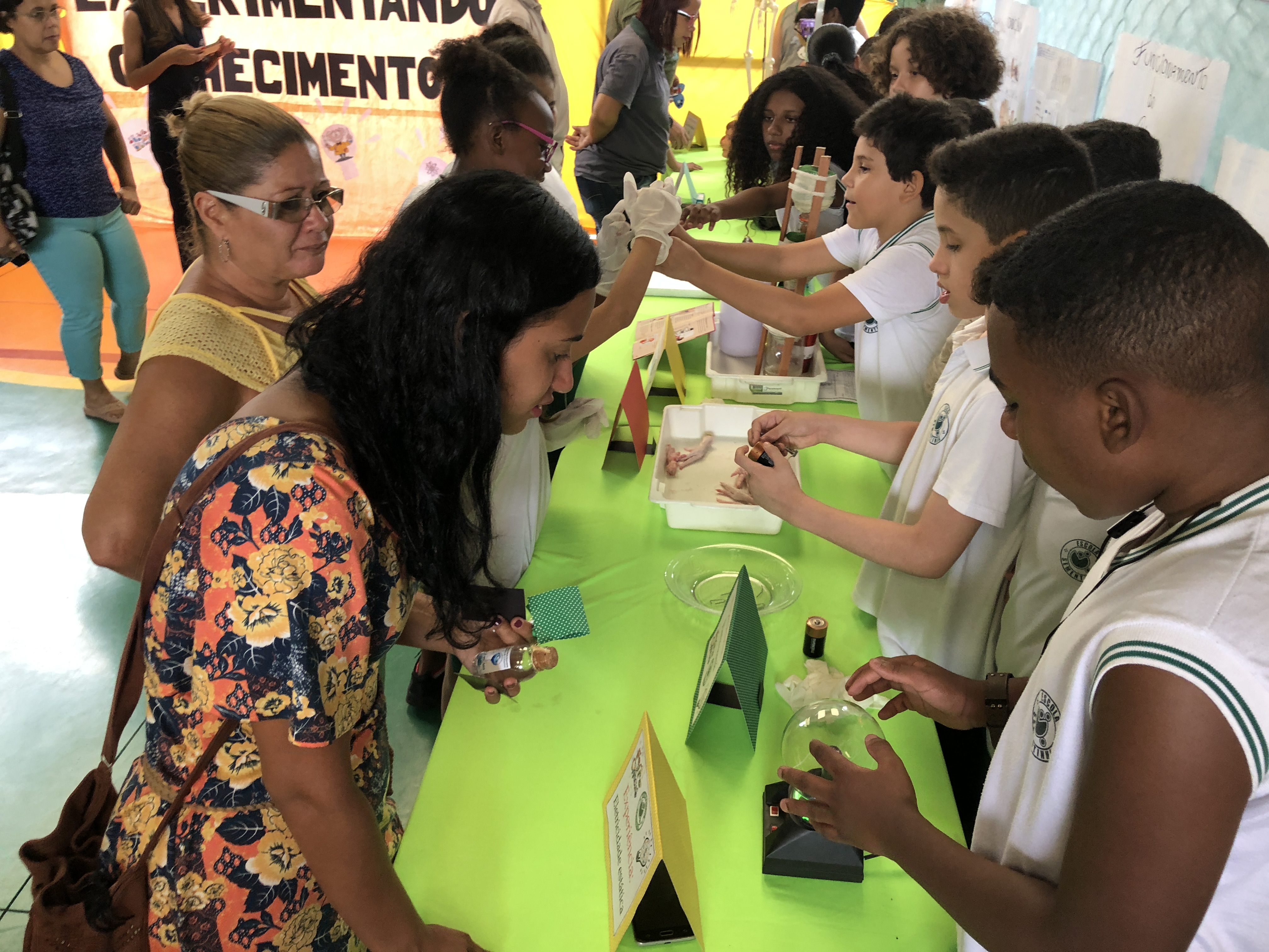 Imagem do Projeto de Feira de Ciências