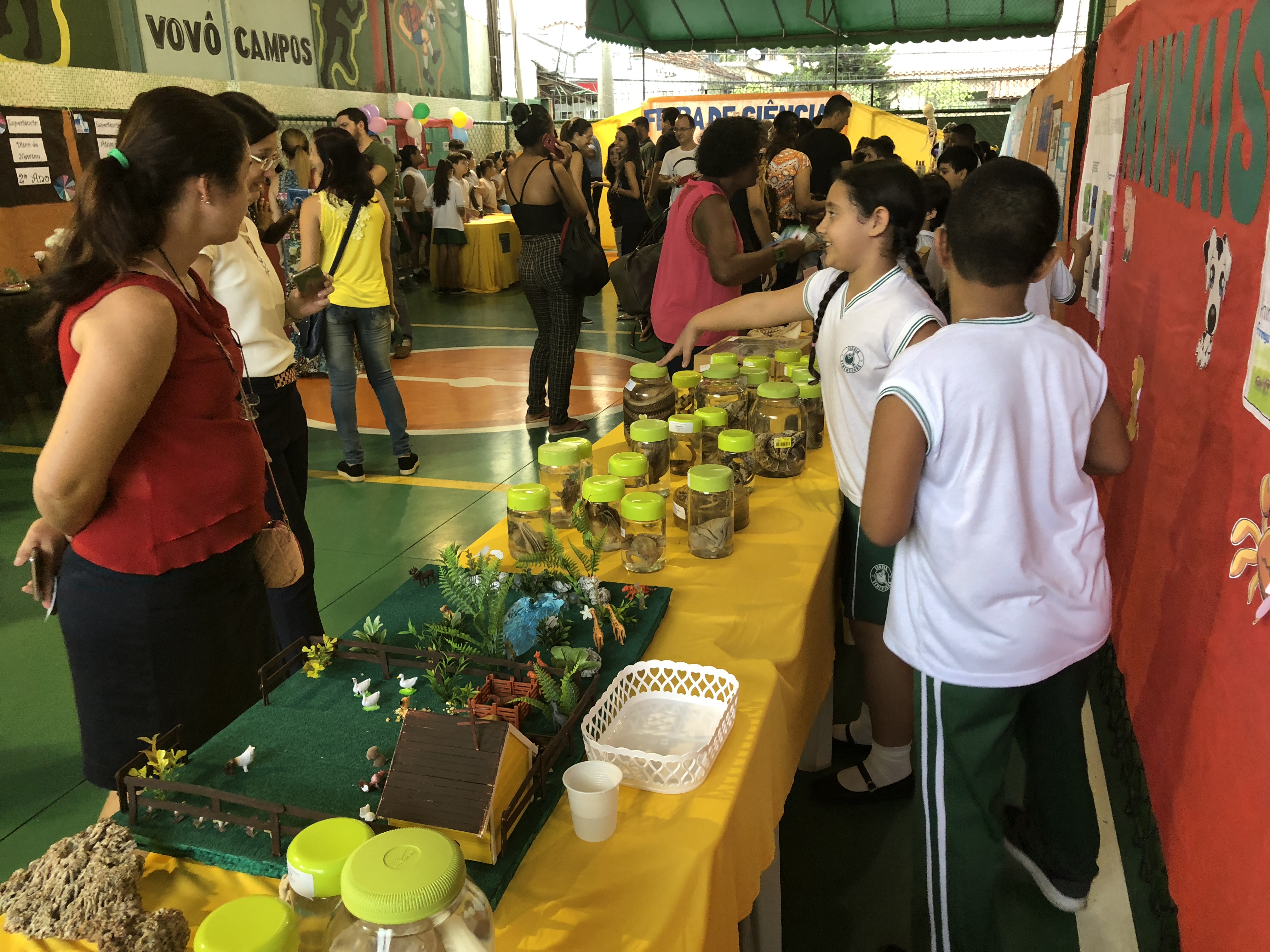 Imagem do Projeto de Feira de Ciências