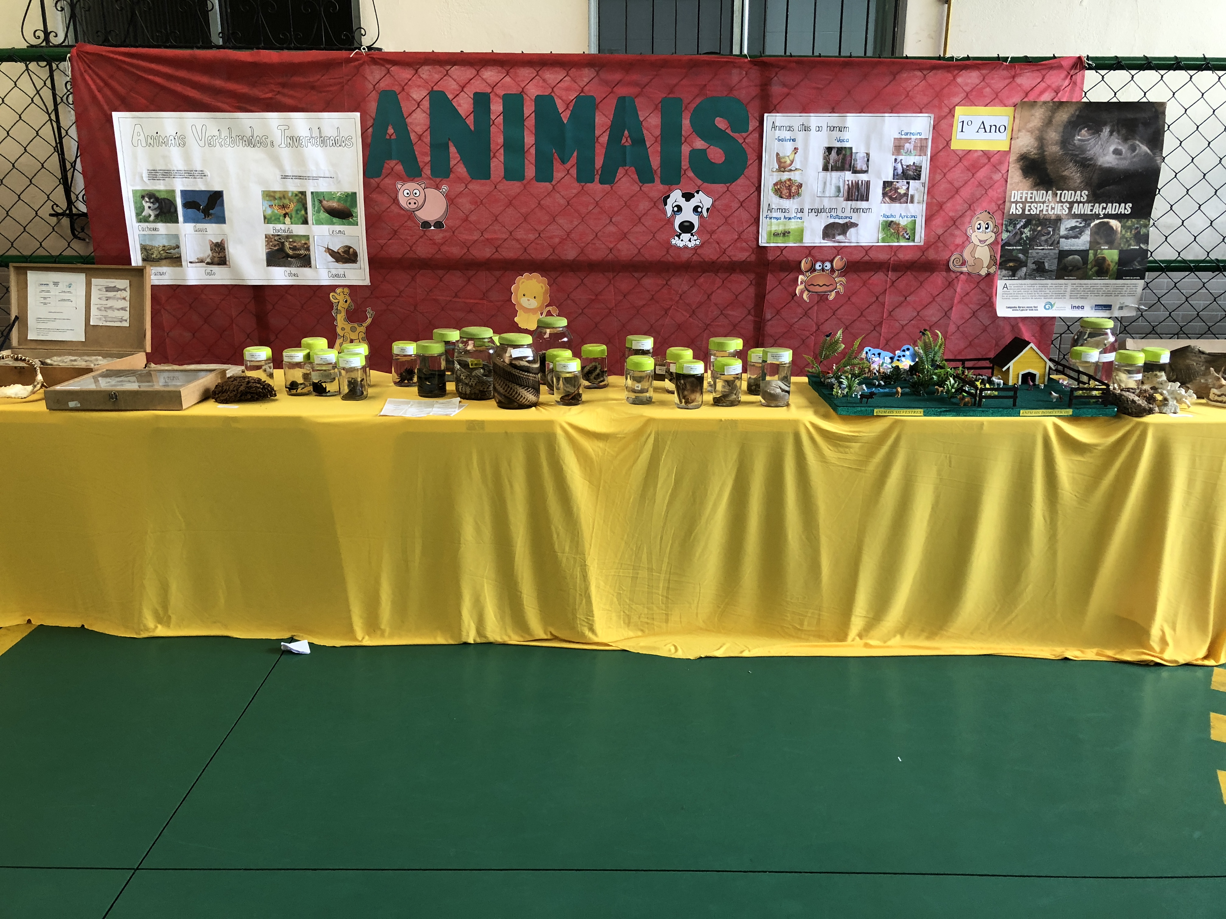Imagem do Projeto de Feira de Ciências