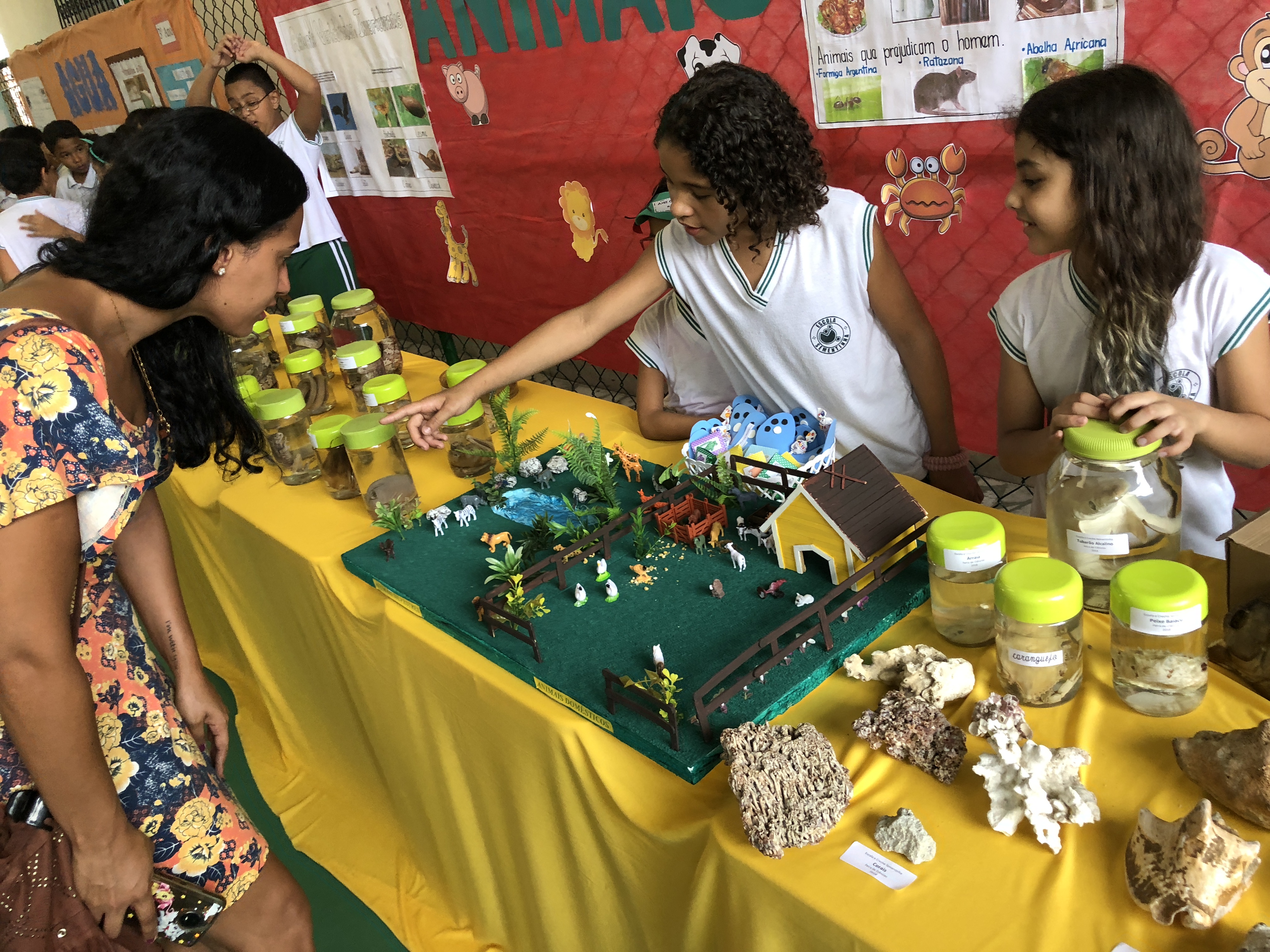 Imagem do Projeto de Feira de Ciências