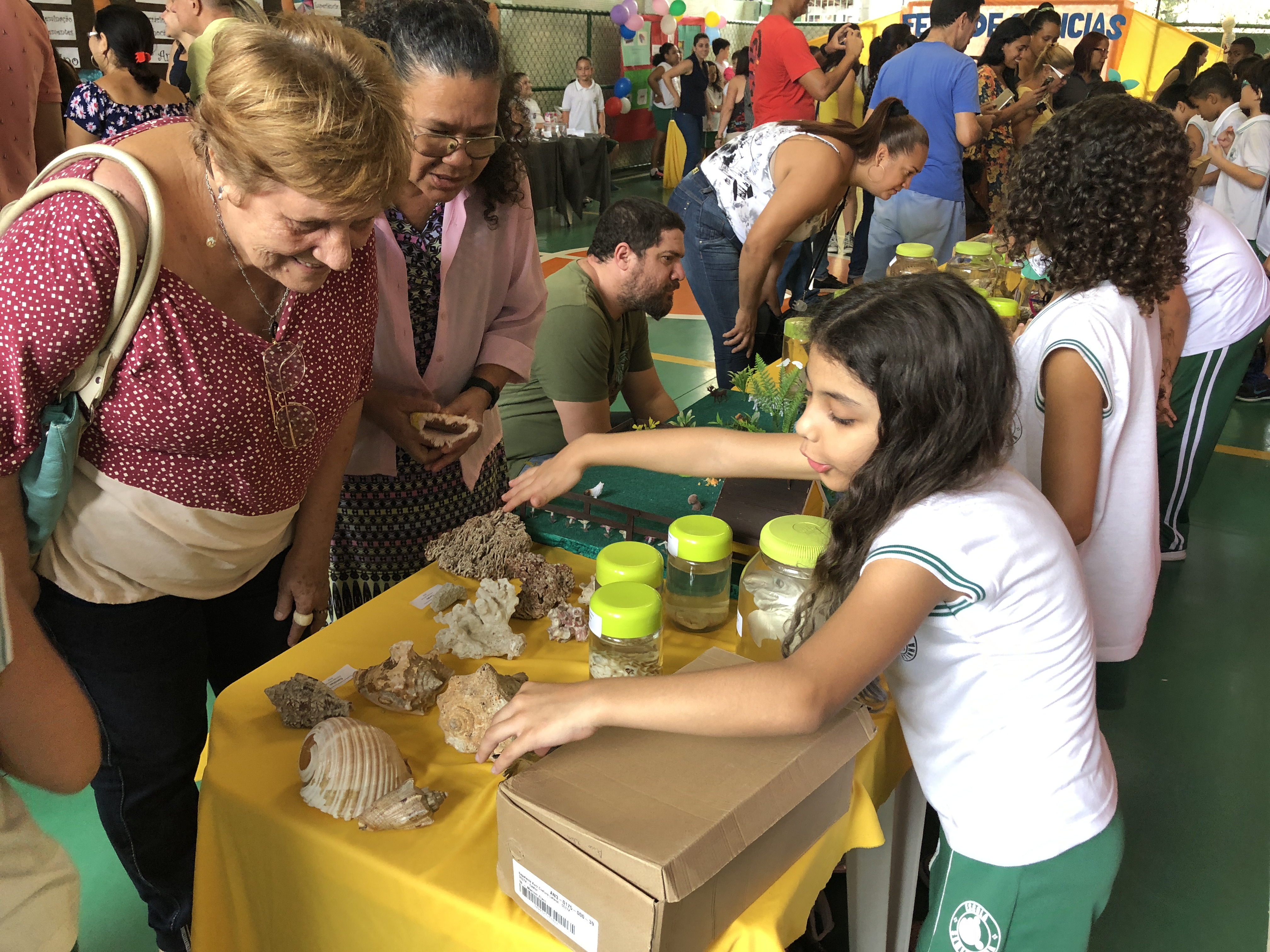 Imagem do Projeto de Feira de Ciências