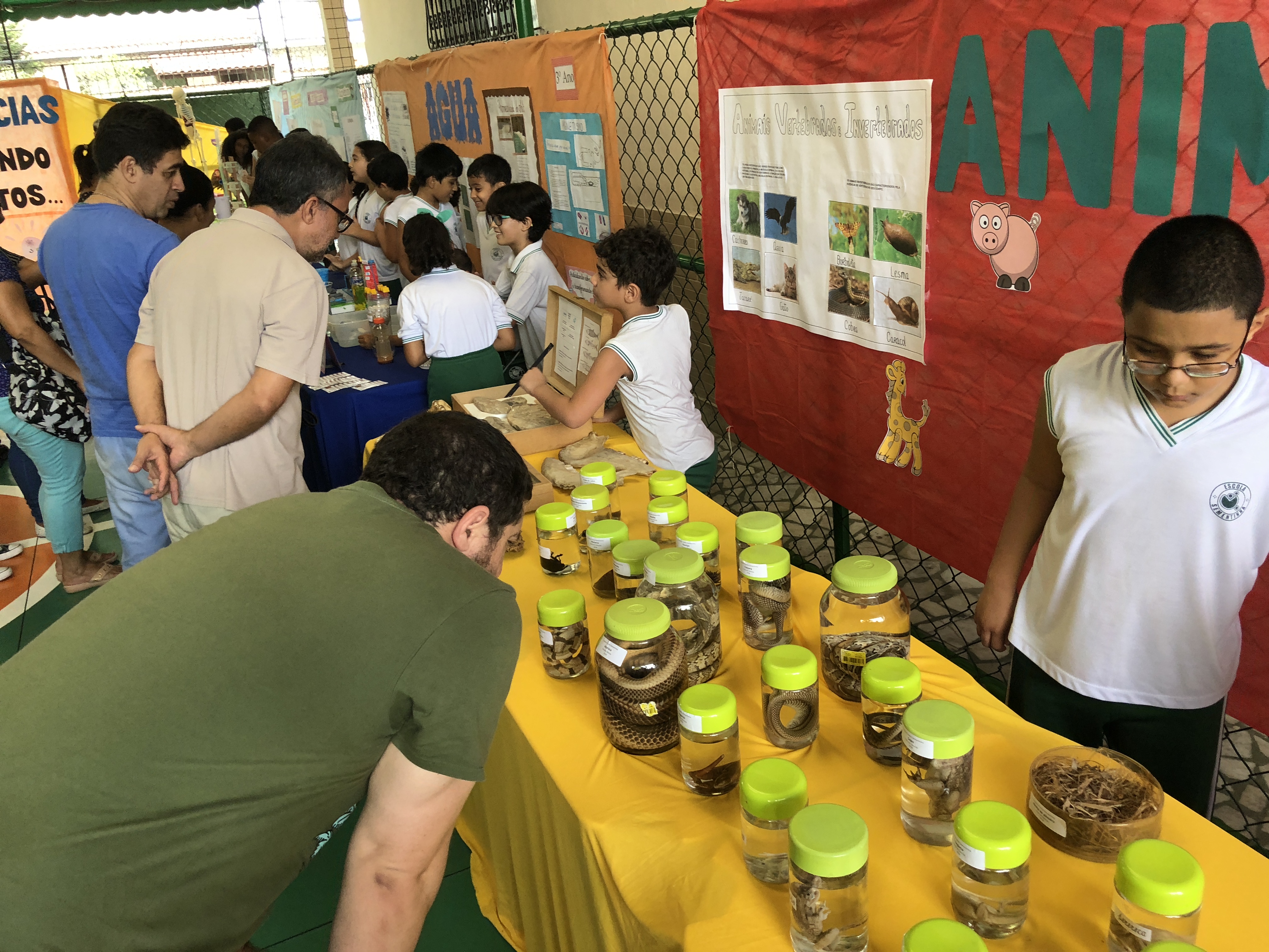 Imagem do Projeto Feira de Ciências