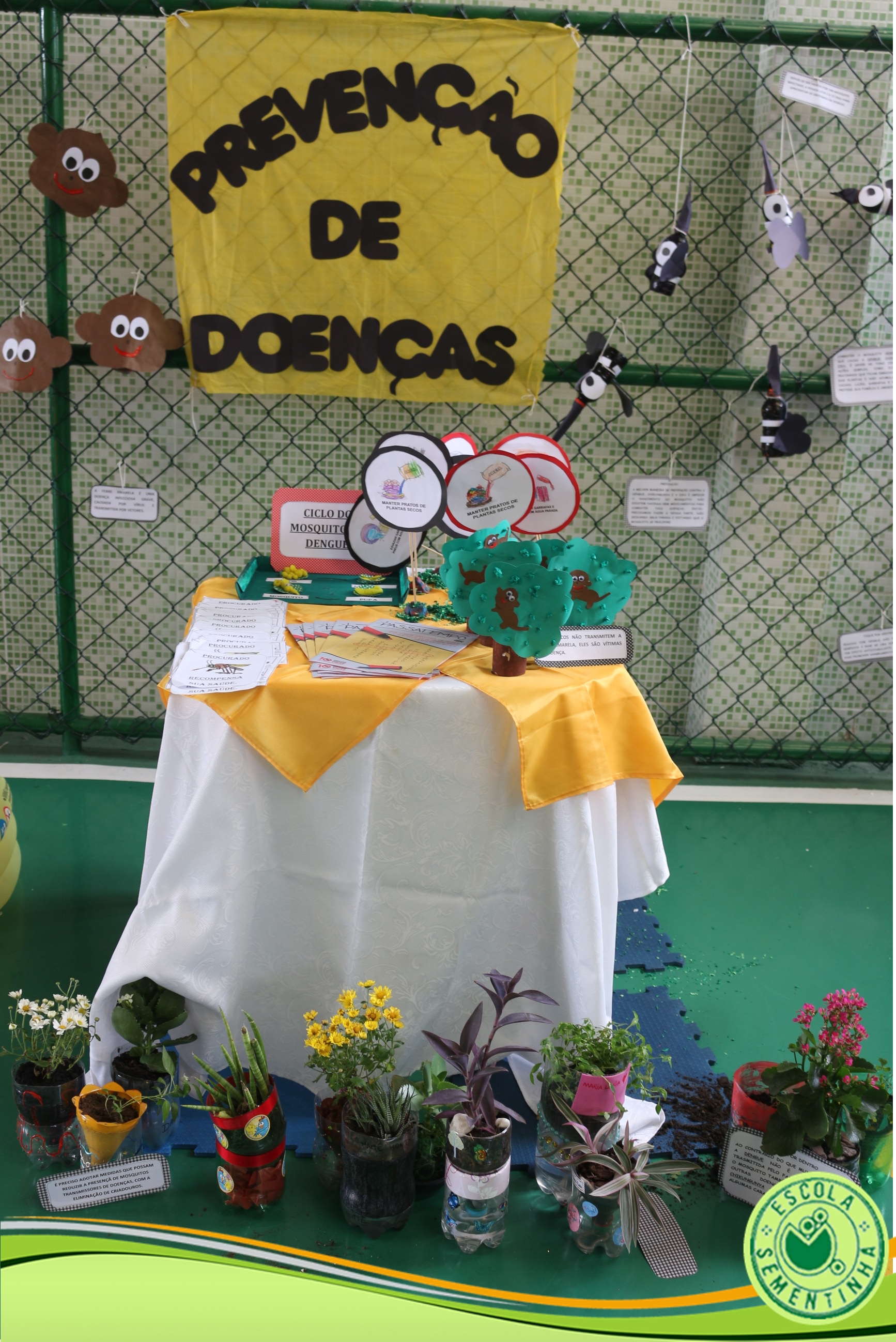Imagem do Projeto Saúde Integral